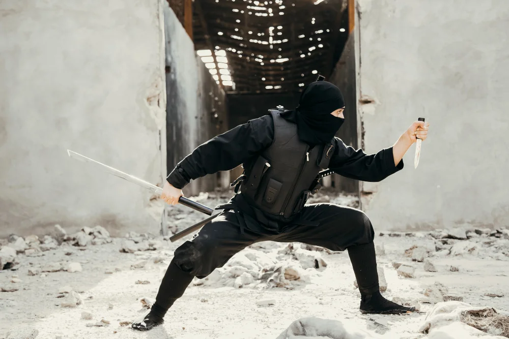 5 décembre : Journée Internationale du Ninja